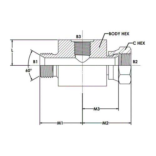 12MBSPP-12FBSPPS-02FBSPP GAUGE PORT BRAN