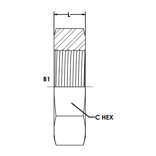 24FS BULKHEAD LOCK NUT STNLS