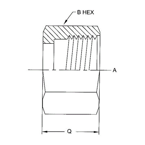 04FS TUBE NUT STNLS