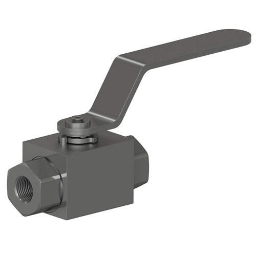 FBSPP - BALL VALVE 2-WAY