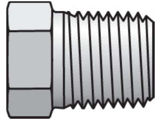 Picture of 1/8 HP-B BP - Pipe & Port Plug and Cap HP