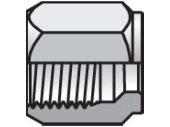 Picture of 2 BU-SS BP - Ferulok Nut, Ferrule, Locknut BU