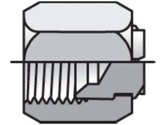 Picture of 16 FNTX-SS BP - Triple-Lok 37° Plug and Cap FNTX