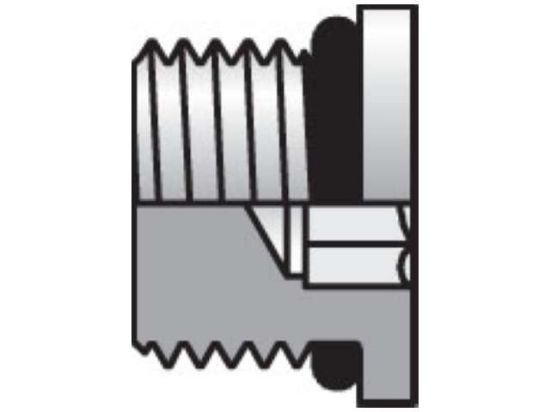Picture of 2 HP5N-S - Pipe & Port Plug and Cap HP5ON