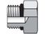 Picture of 4 P5N-S - Pipe & Port Plug and Cap P5ON