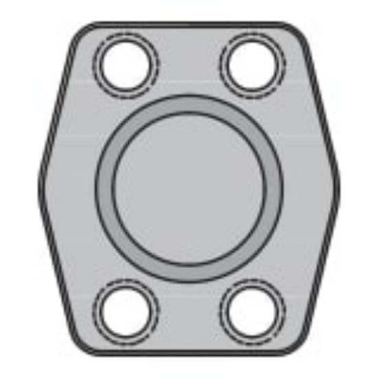 Picture of 12PQ2PSX - 4-Bolt Hydraulic Flanges and Components