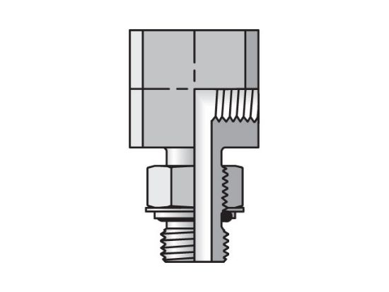 Picture of 2-2A4OEG4MS - Pipe & Port 90° Elbow A4OEG4M